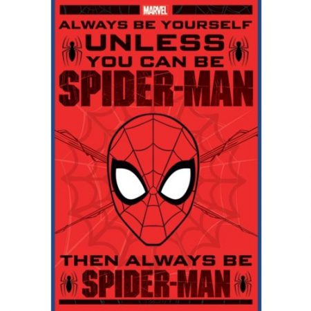 poster enmarcado spiderman