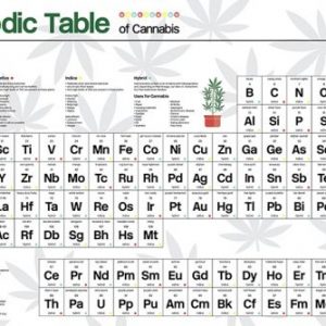 tabla-periodica-poster-enmarcado-cannabis