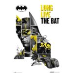 Cuadro Batman 80 aniversario