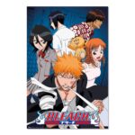 Cuadro Bleach