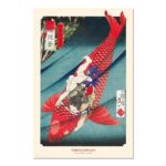 Cuadro Carpas koi japonesas