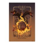 Cuadro La casa del dragón Fire Will Reign