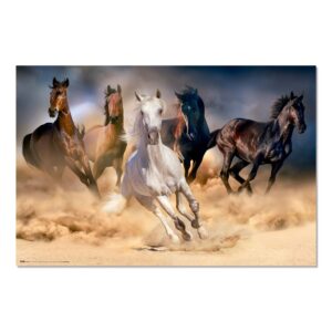 Cuadro Cinco caballos enmarcado en aluminio de 92x62 cm