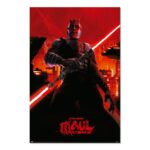 Cuadro Darth Maul Shadow Lord