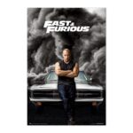 Cuadro Fast & Furious