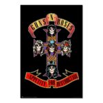 Cuadro Guns N’ Roses Appetite for Destruction