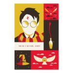 Cuadro Harry Potter 100 aniversario