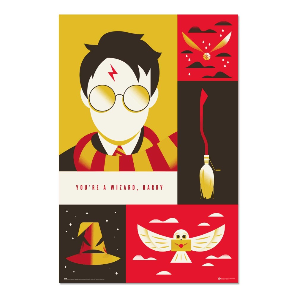 Cuadro Harry Potter 100 aniversario enmarcado en aluminio de 92x62 cm