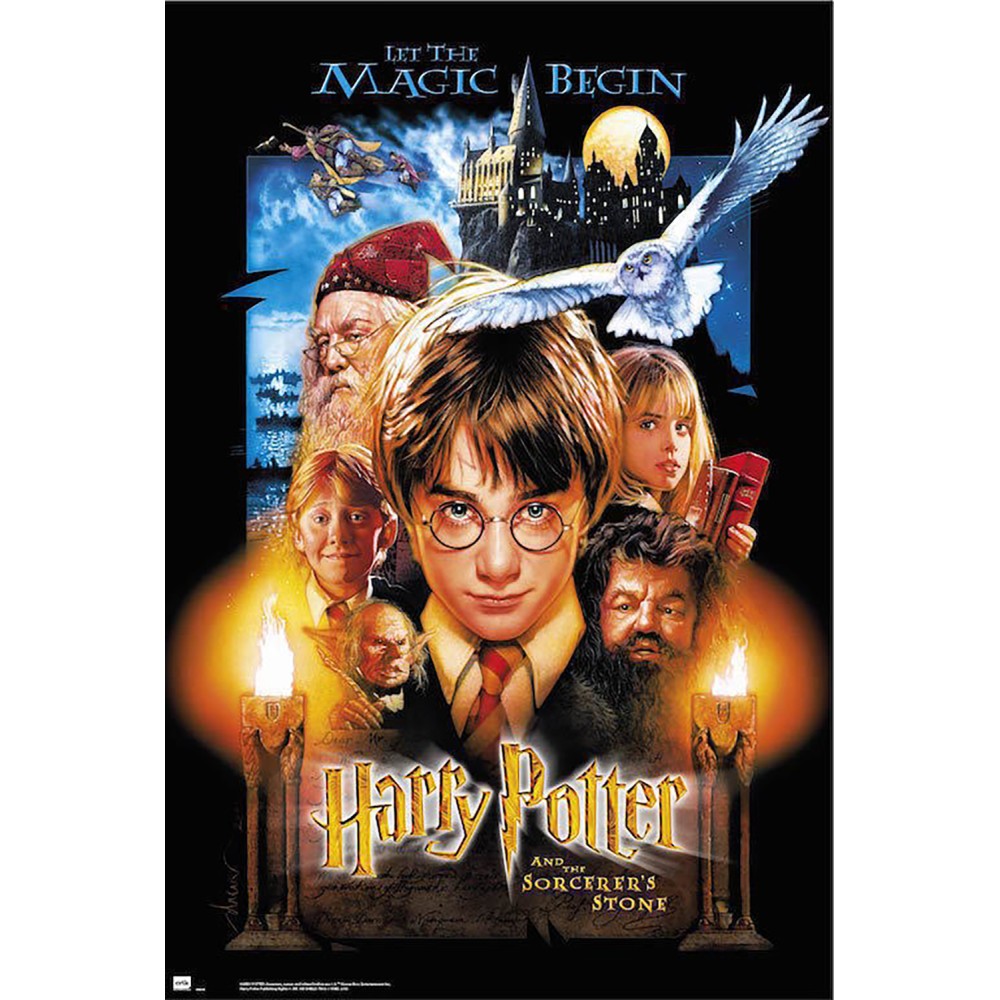 Cuadro Harry Potter y la piedra filosofal enmarcado en aluminio de 92x62 cm