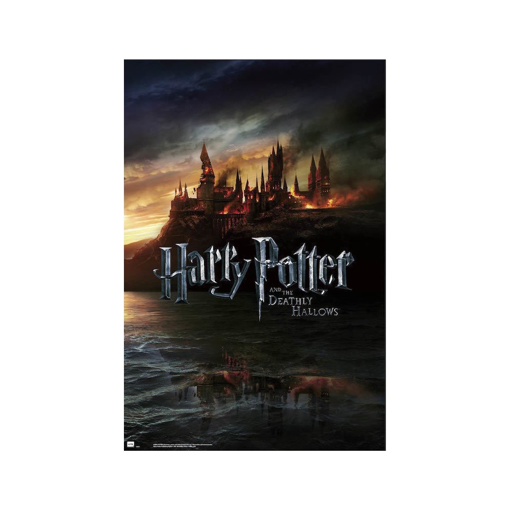 Cuadro Harry Potter y las Reliquias de la Muerte enmarcado en aluminio de 92x62 cm