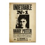 Cuadro Harry Potter Undesirable No 1