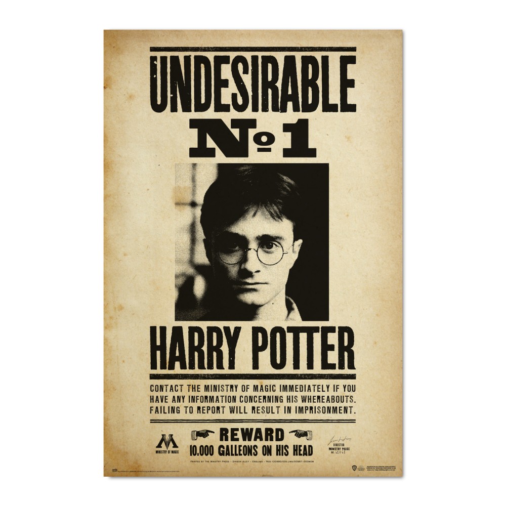 Cuadro Harry Potter Undesirable No 1 enmarcado en aluminio de 92x62 cm