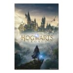 Cuadro Hogwarts Legacy