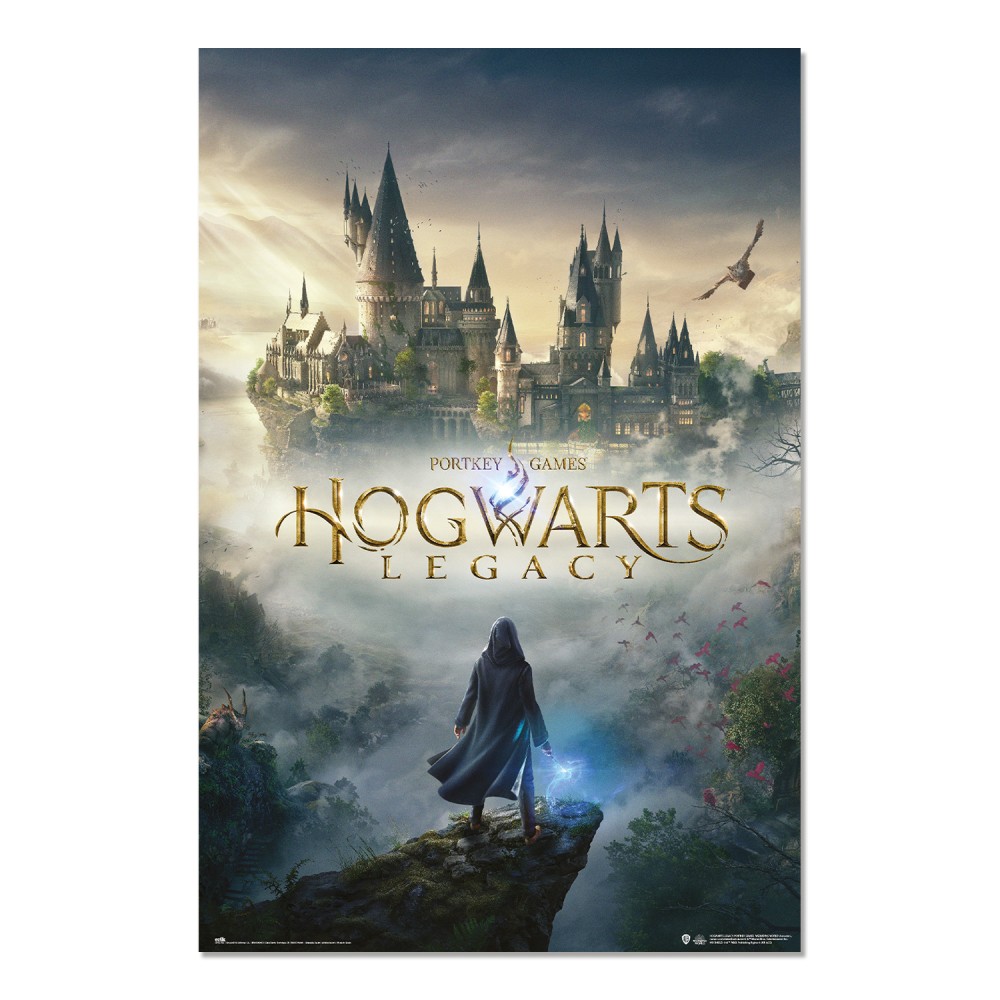 Cuadro Hogwarts Legacy enmarcado en aluminio de 92x62 cm