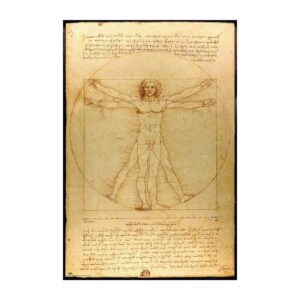 Cuadro Hombre de Vitruvio de Leonardo da Vinci enmarcado en aluminio de 92x62 cm