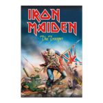 Cuadro Iron Maiden The Trooper