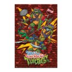 Cuadro Las Tortugas Ninja