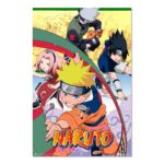Cuadro Naruto