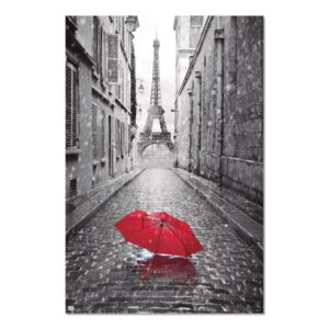 Cuadro París paraguas rojo enmarcado en aluminio de 92x62 cm
