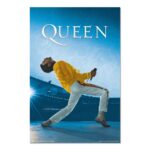Cuadro Queen Freddie Mercury en concierto