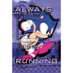 Cuadro Sonic Always Running