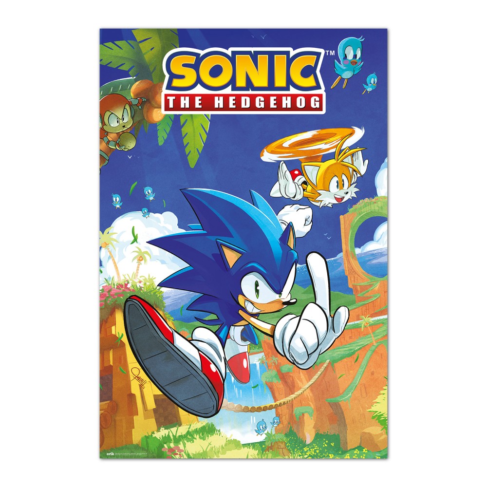 Cuadro Sonic y Tails enmarcado en aluminio de 92x62 cm