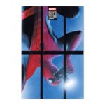 Cuadro Spider-Man 80 aniversario