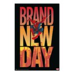 Cuadro Spider-Man Brand New Day
