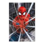 Cuadro Spider-Man Gotcha
