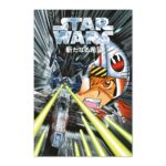 Cuadro Star Wars manga ataque a la Estrella de la Muerte