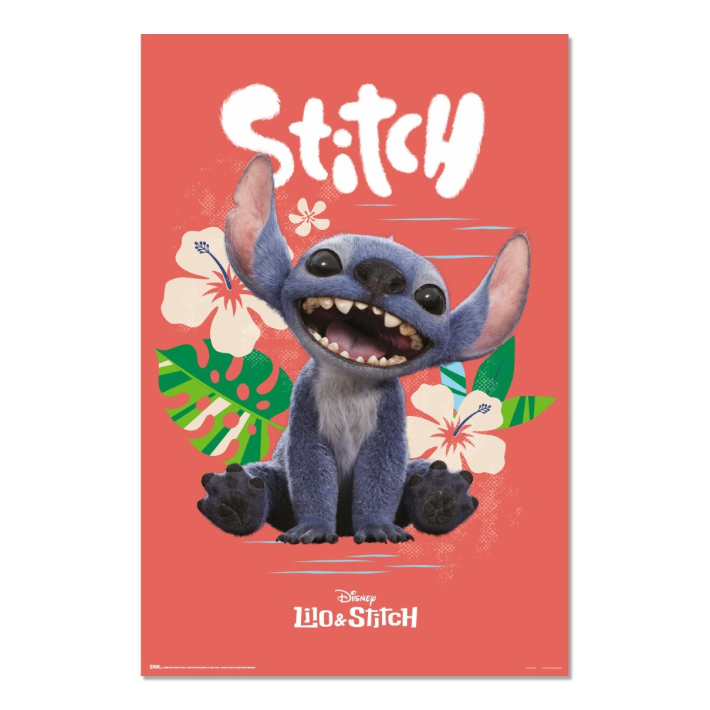 Cuadro Stitch película de imagen real enmarcado en aluminio de 92x62 cm