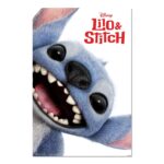 Cuadro Stitch primer plano