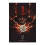 Cuadro The Flash