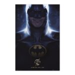 Cuadro The Flash Batman