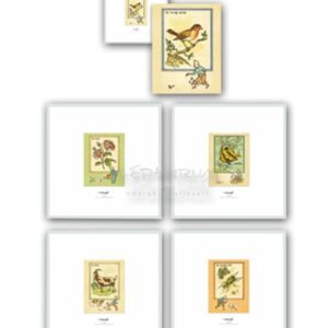 Set de 5 litografías enmarcadas postales didácticas 1943 de Tintín