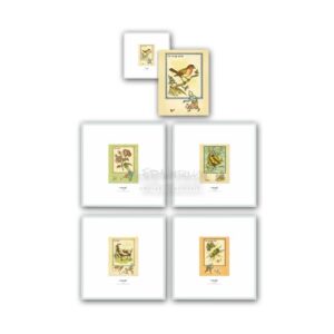 Set de 5 litografías enmarcadas postales didácticas 1943 de Tintín